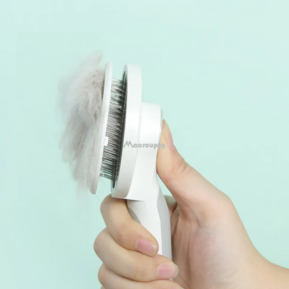 Brosse pour Animal