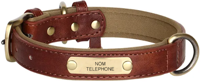 Collier pour chien personnalisable