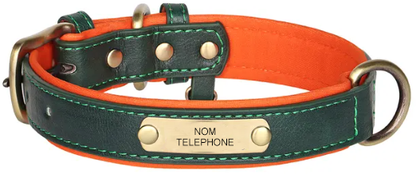 Collier pour chien personnalisable